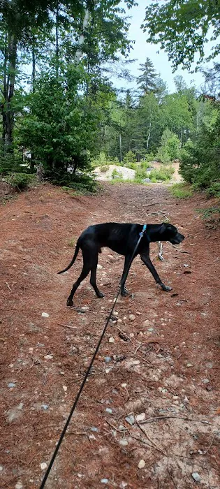 Sandbank Stream Campground Picture 1