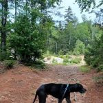 Sandbank Stream Campground
