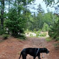 Sandbank Stream Campground ico