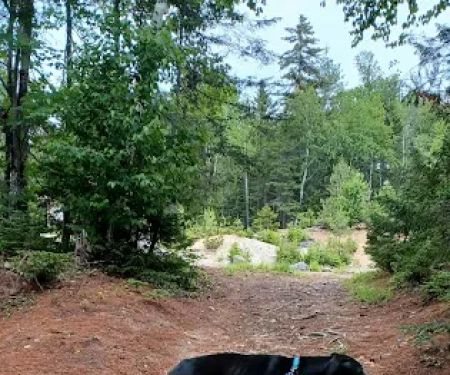 Sandbank Stream Campground