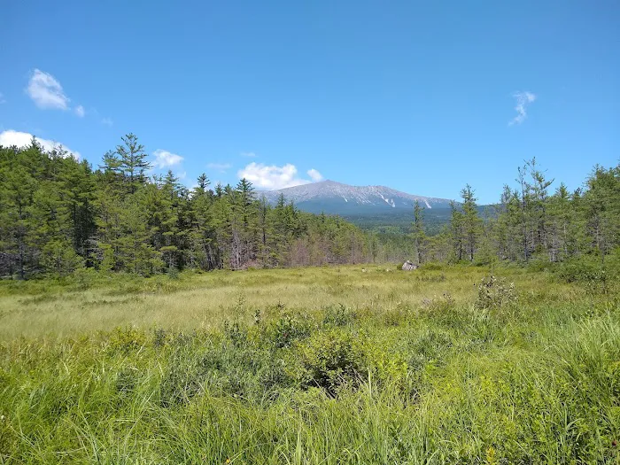 Roaring Brook Campground Picture 4