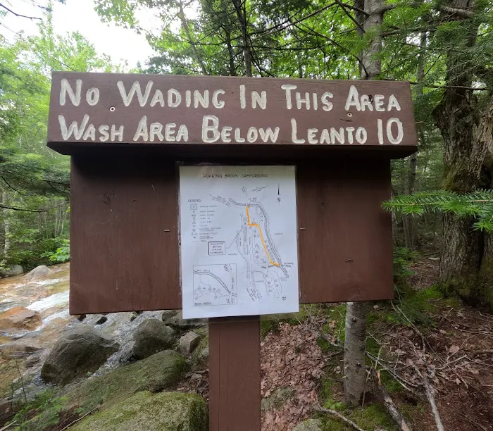 Roaring Brook Campground Picture 2