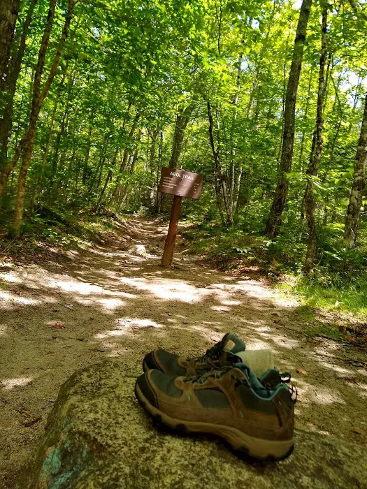 Roaring Brook Campground Picture 7