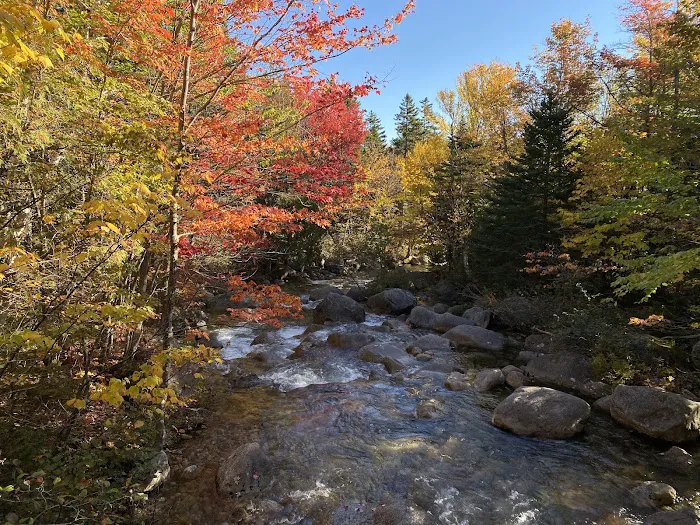 Roaring Brook Campground Picture 8