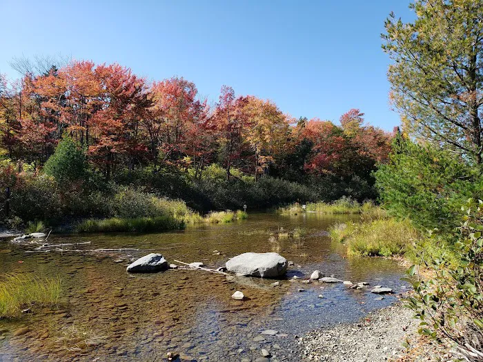 South Branch Pond Campground Picture 2