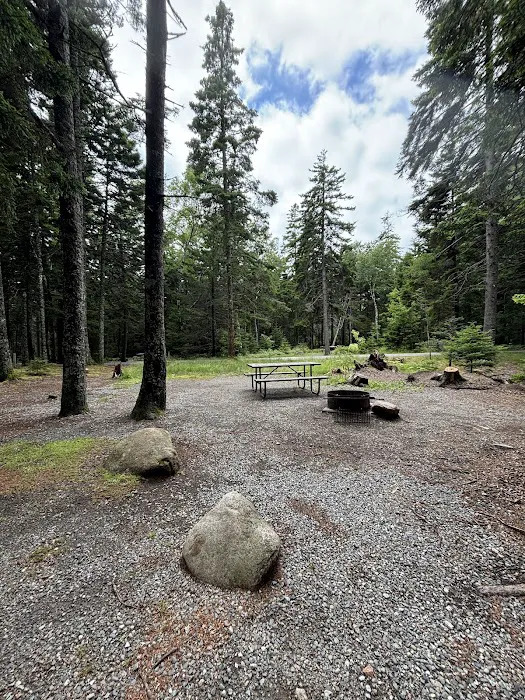Blackwoods Campground Picture 2