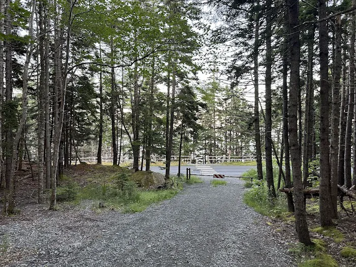 Blackwoods Campground Picture 10