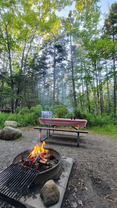 Blackwoods Campground Picture 4