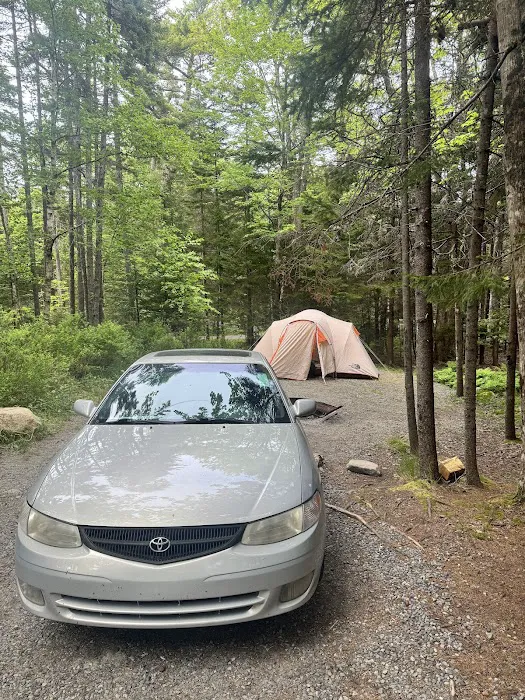 Blackwoods Campground Picture 10