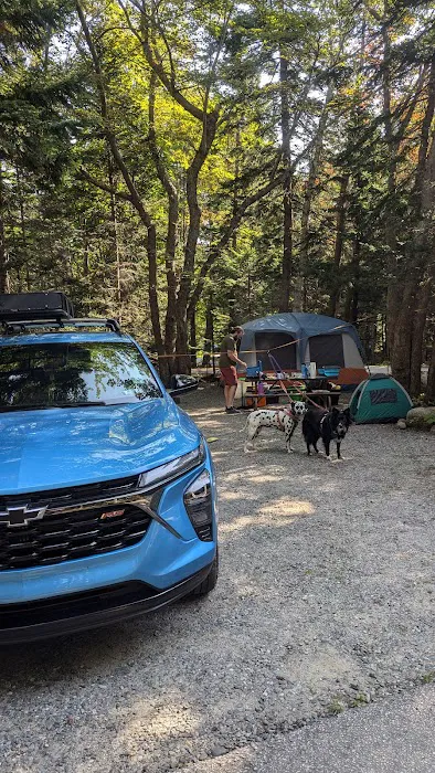 Blackwoods Campground Picture 5
