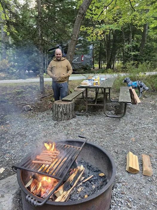 Blackwoods Campground Picture 8