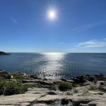 Blackwoods Campground