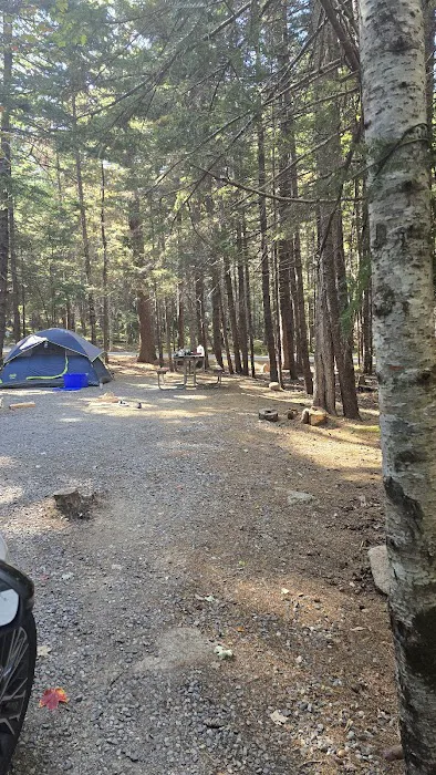 Blackwoods Campground Picture 7