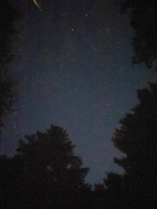 Acadia East Campground Picture 5