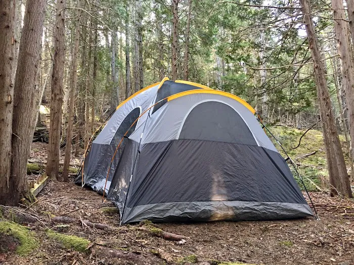 Acadia East Campground Picture 1