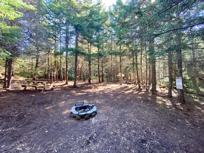 Acadia East Campground Picture 10