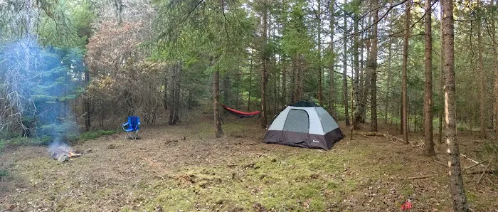 Acadia East Campground Picture 4