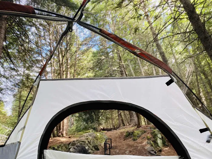 Acadia East Campground Picture 8