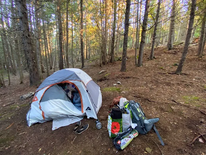 Acadia East Campground Picture 9