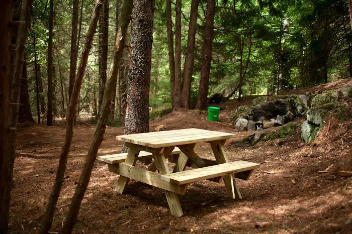 Acadia East Campground Picture 7