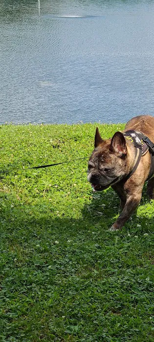 Shawnee Lake Park Picture 4