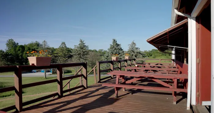 Camp HiYo! Picture 4