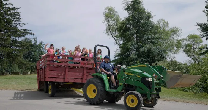 Camp HiYo! Picture 8