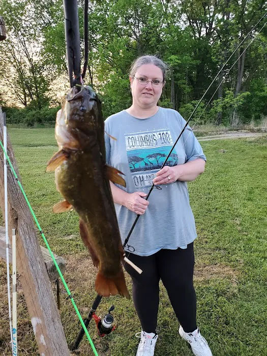 Town & Country Camp Resort Picture 9