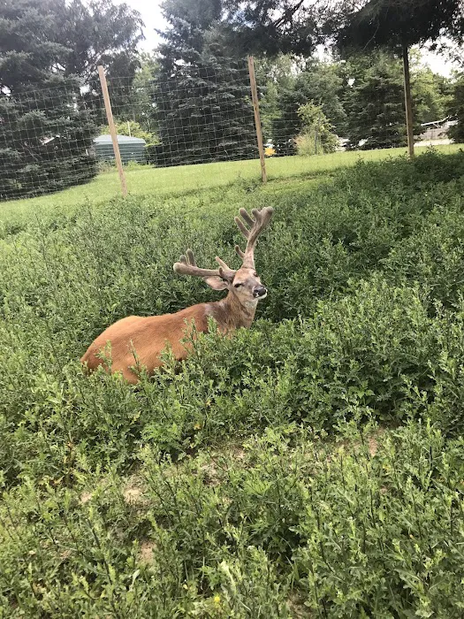 Town & Country Camp Resort Picture 2