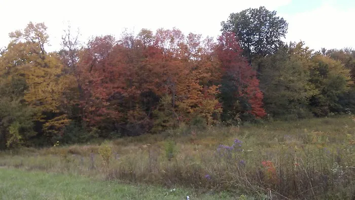 Town & Country Camp Resort Picture 6