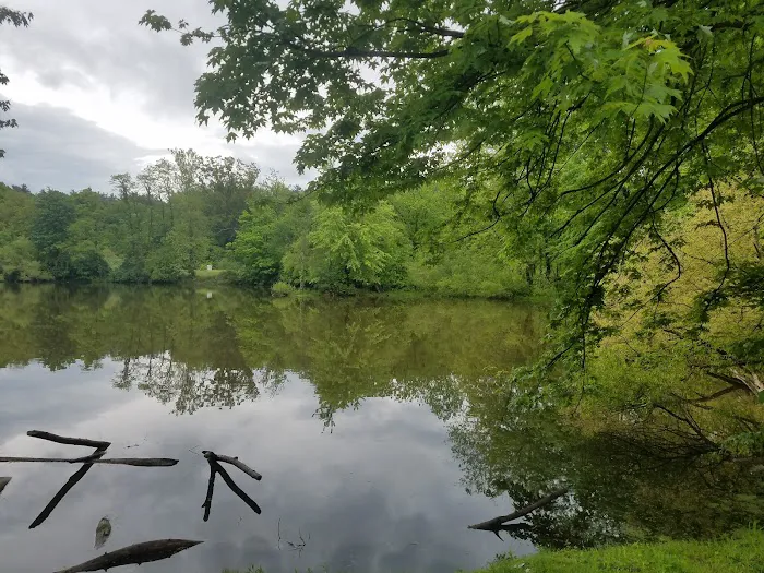 Findley Camp Check-In Station Picture 1