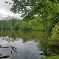 Findley Camp Check-In Station ico