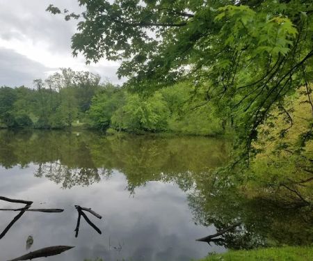 Findley Camp Check-In Station