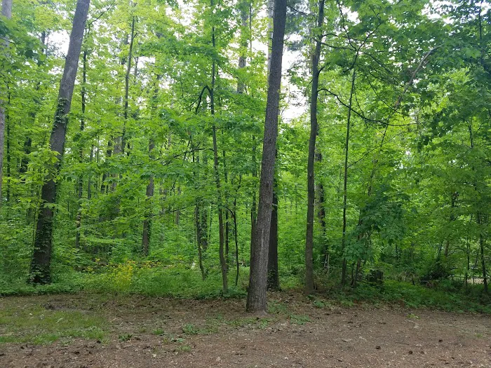 Findley Camp Check-In Station Picture 3