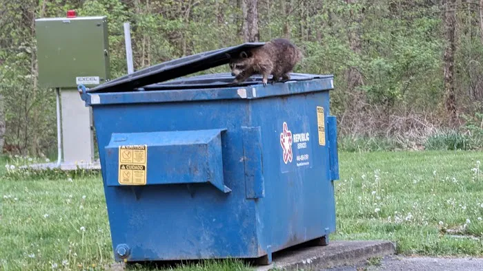 Findley State Park Campground Picture 2