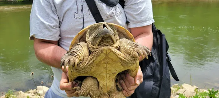 Whispering Falls Campground Picture 2