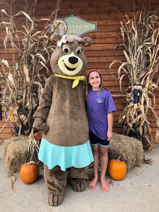 Whispering Hills Jellystone Park Camp Resort Picture 10