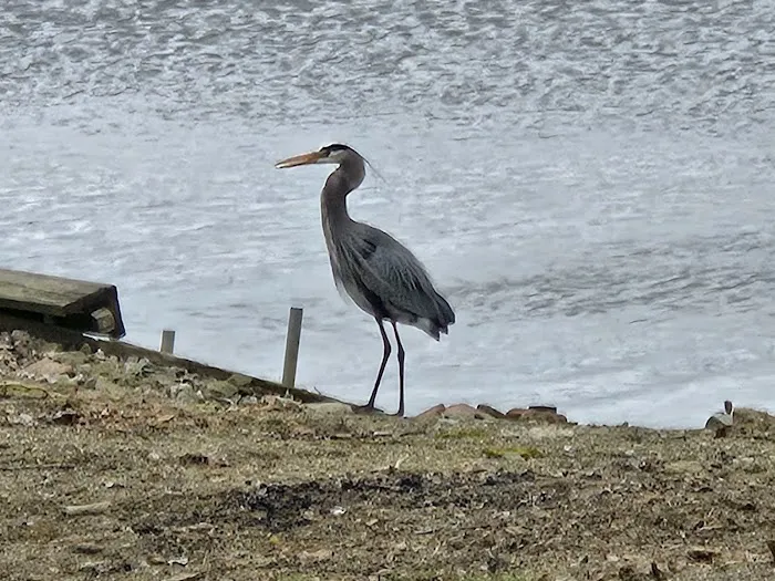 Lakeland Beach Park Picture 4