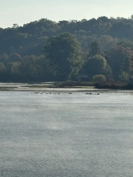 Lakeland Beach Park Picture 2