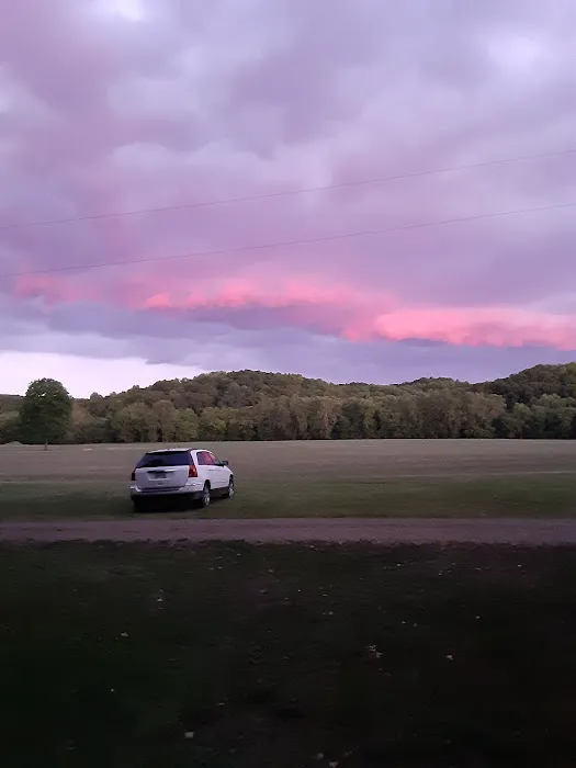 Shady Grove Picture 2