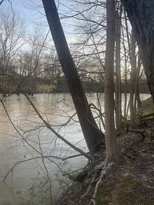 Camp Tonawanda Picture 7