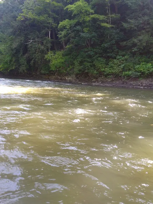 Greer Landing Picture 7