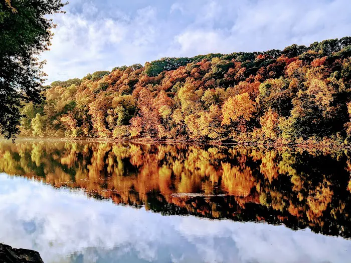 Miller's Landing Campground Picture 1