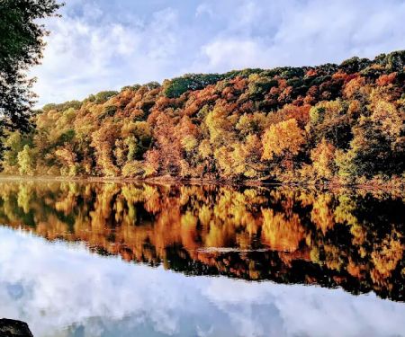 Miller's Landing Campground