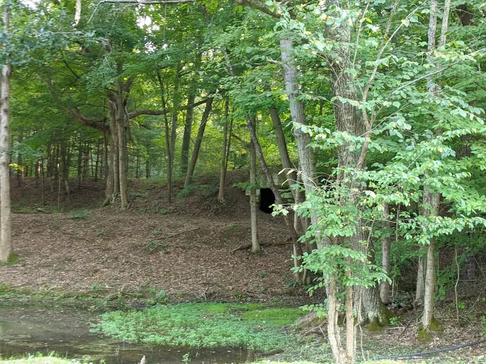 Walhonding Hills Campgrounds Picture 3