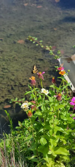 Lazy Acres Campground Picture 9