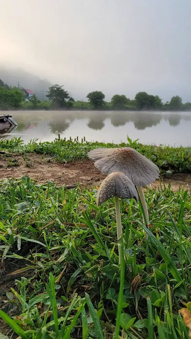 Lazy Acres Campground Picture 7