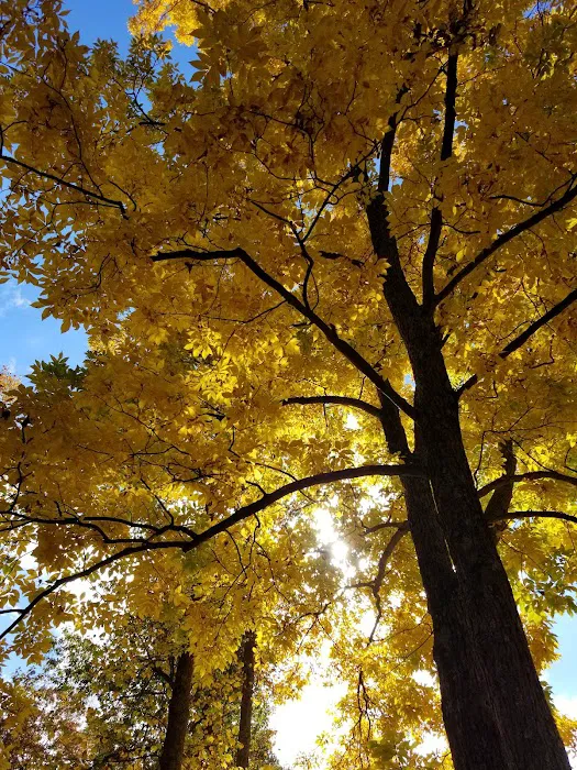 Carthage Gap Camp Picture 10