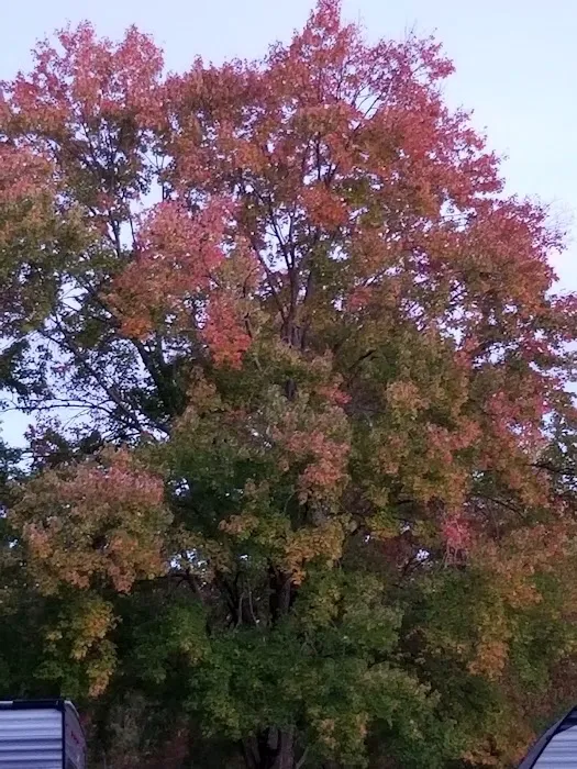 Carthage Gap Camp Picture 4