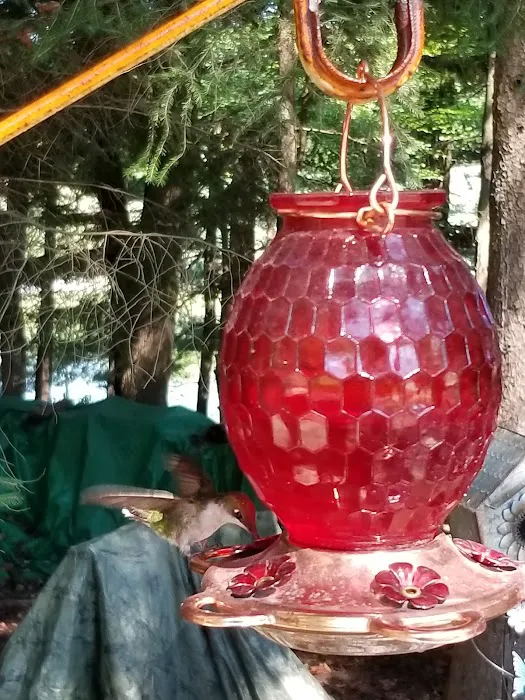 Carthage Gap Camp Picture 5